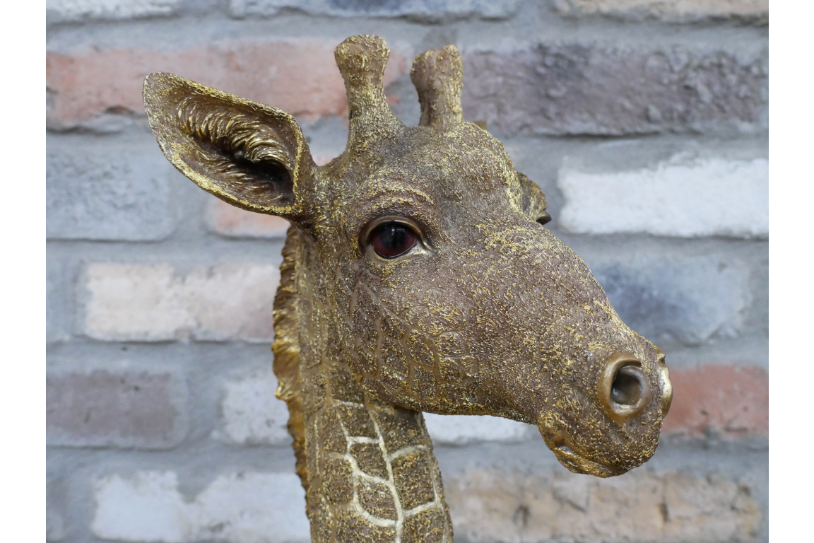 Giraffe Bust Sculpture 48cm high