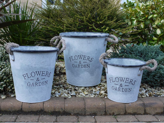 Set of 3 metal bucket planters