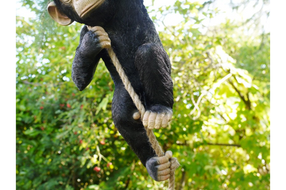 Hanging Monkey Garden ornament, Monkey outdoor swinging ornament