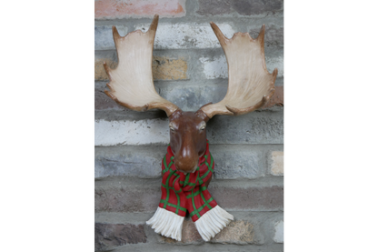 Moose Head Wall Decor Ornament with Scarf 48cm high