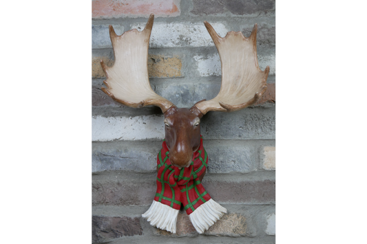 Moose Head Wall Decor Ornament with Scarf 48cm high