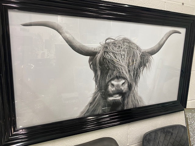 EX DISPLAY Highland cow picture in black stepped wood frame