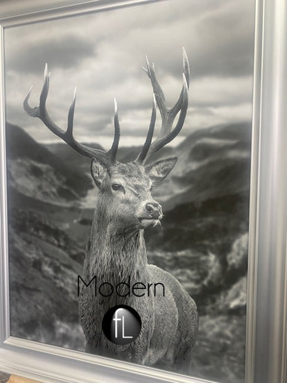 Highland Stag Portrait Black and White 76x96 Silver Curved Frame, Stag Picture