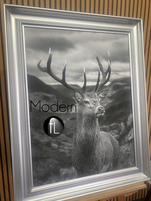 Highland Stag Portrait Black and White 76x96 Silver Curved Frame, Stag Picture