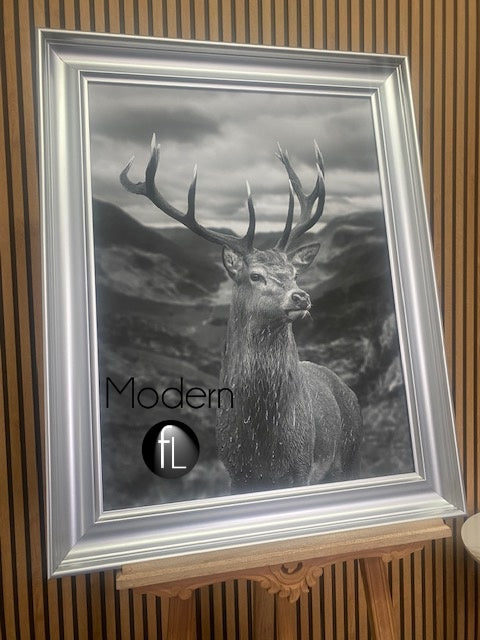 Highland Stag Portrait Black and White 76x96 Silver Curved Frame, Stag Picture