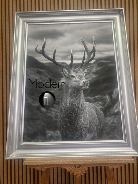 Highland Stag Portrait Black and White 76x96 Silver Curved Frame, Stag Picture