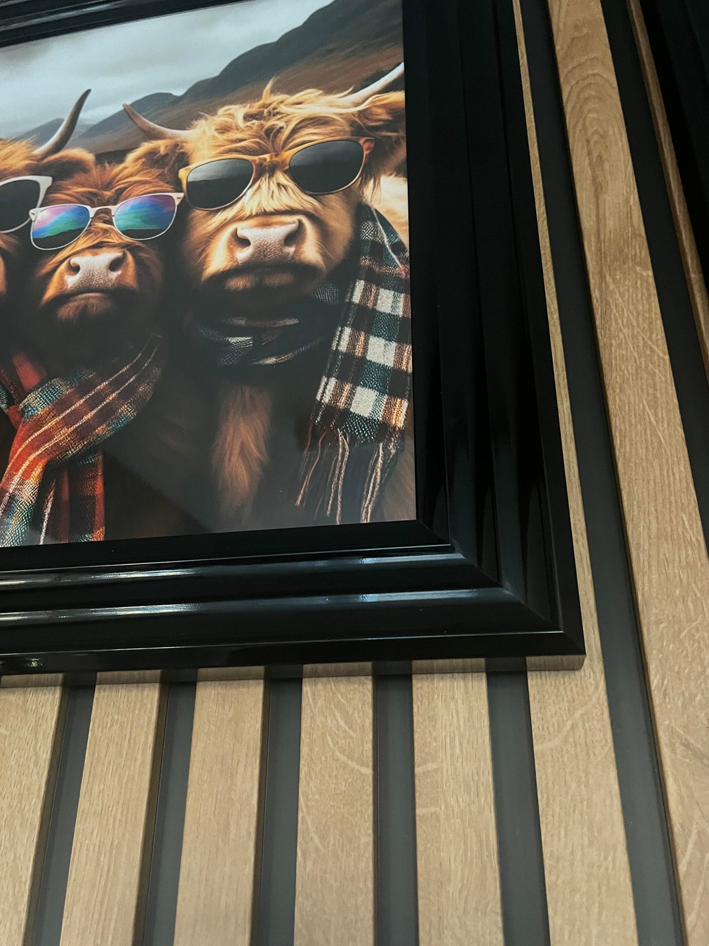 Highland Cow Family Picture In Black Wood Frame 39X39cm