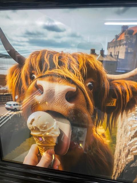 Highland Cow Ice cream Picture 39X39cm