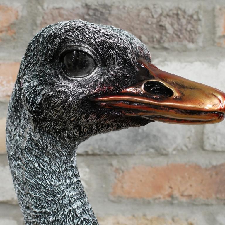 Emu Bust Sculpture 48cm high