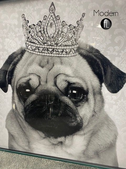 Lady pug with crown 3D glitter picture in silver mirror frame, 55x55 cm