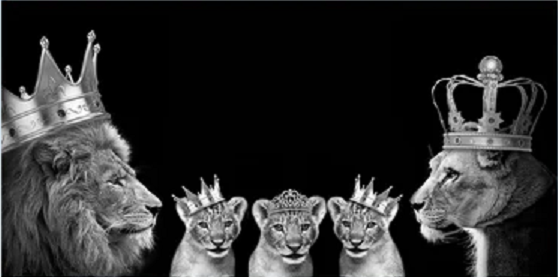 Lion pride family picture in a mirrored frame