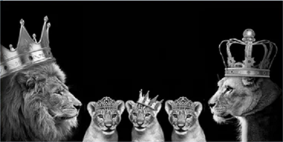 Lion pride family picture in a mirrored frame