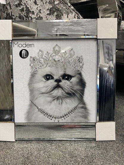 Beautiful cat with crown tiara picture in silver mirror frame