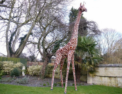 Stunning Giraffe garden ornament, safari giraffe large outdoor statue