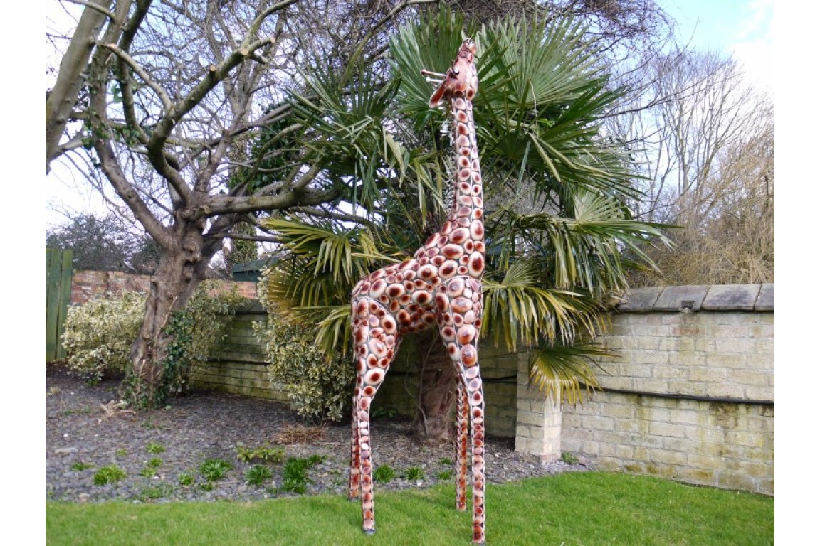 Stunning Giraffe garden ornament, safari giraffe large outdoor statue