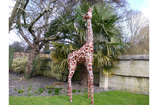 Stunning Giraffe garden ornament, safari giraffe large outdoor statue