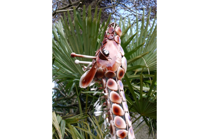 Stunning Giraffe garden ornament, safari giraffe large outdoor statue