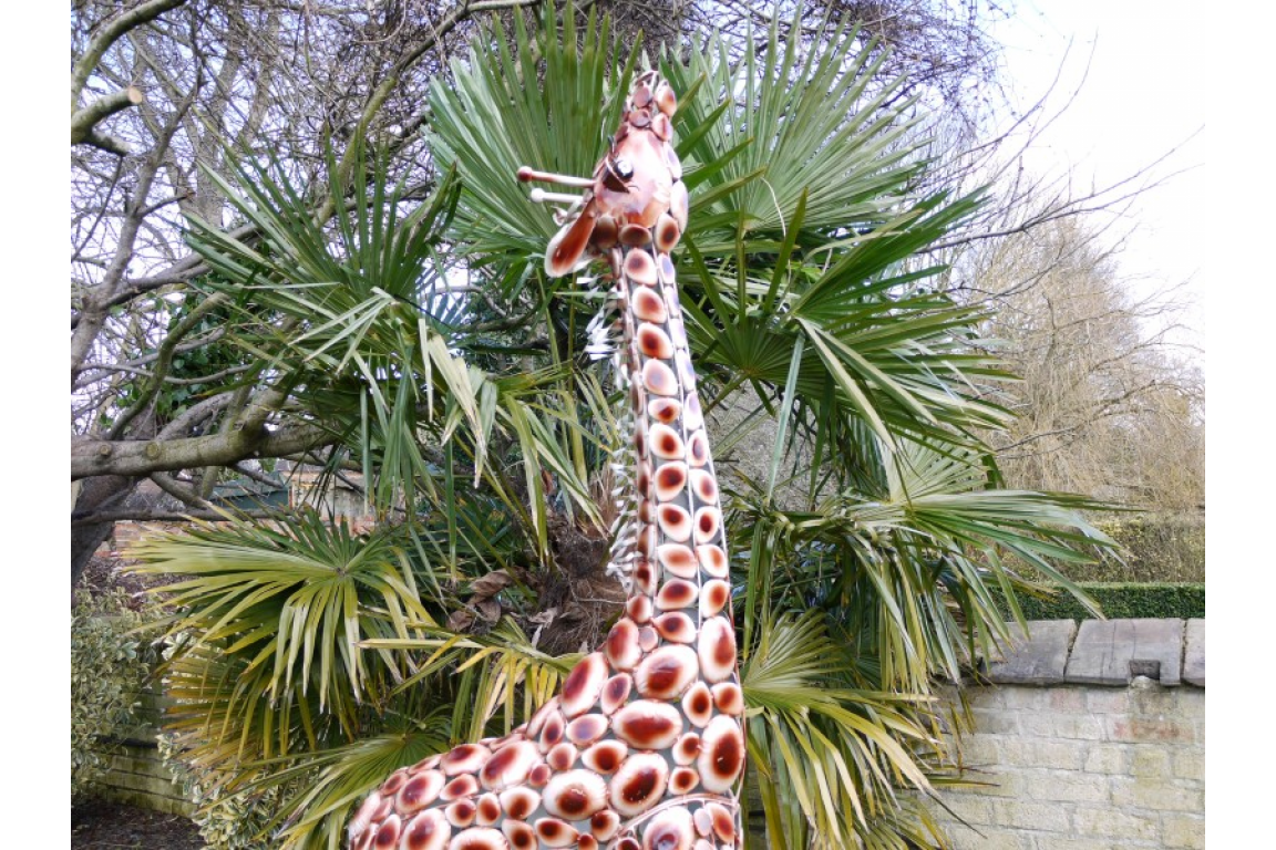 Stunning Giraffe garden ornament, safari giraffe large outdoor statue