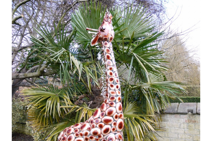 Stunning Giraffe garden ornament, safari giraffe large outdoor statue