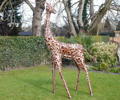 Stunning Giraffe garden ornament, safari giraffe large outdoor statue