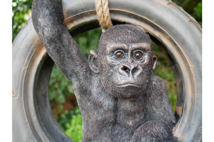 Hanging Gorilla on Tyre Swing Garden ornament, Gorilla outdoor swinging